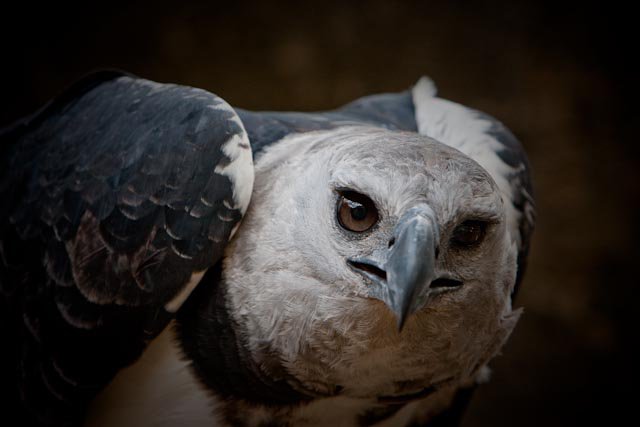 Bird Trip 4D/3N