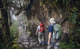 Inca Trail to Machu Picchu.