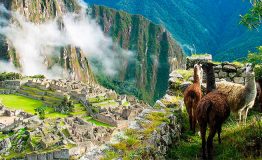 Inca Trail to Machu Picchu