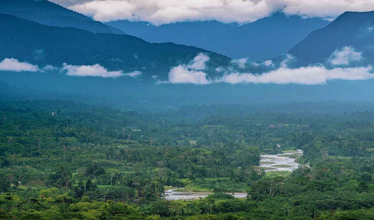 Kosnipata Valley Manu Park