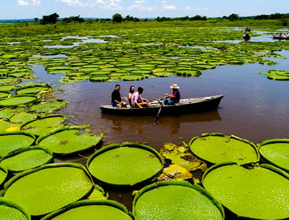 Peru Nature Amazon Iquitos 5 days