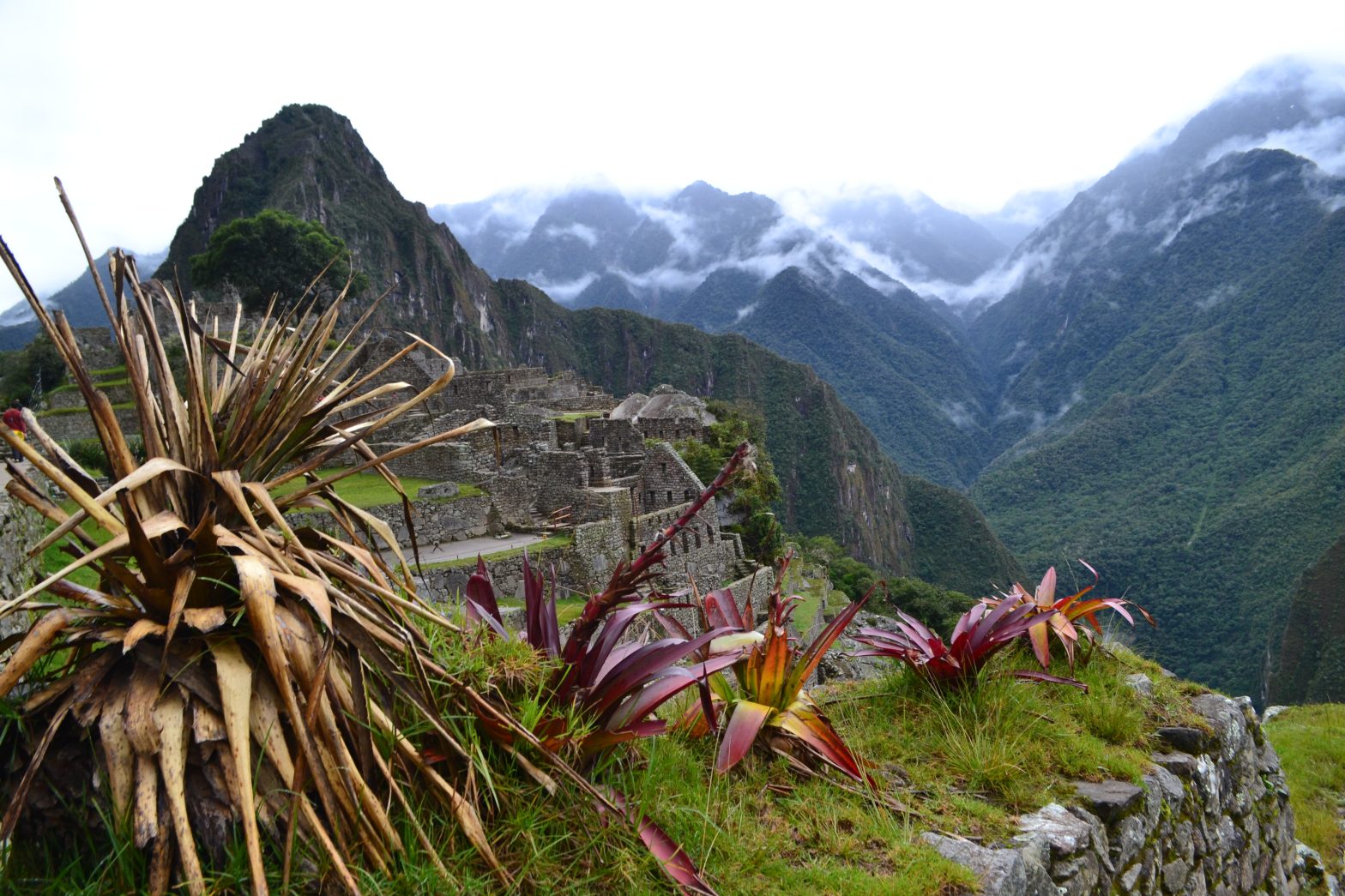 The Journey Peru Multi days 12
