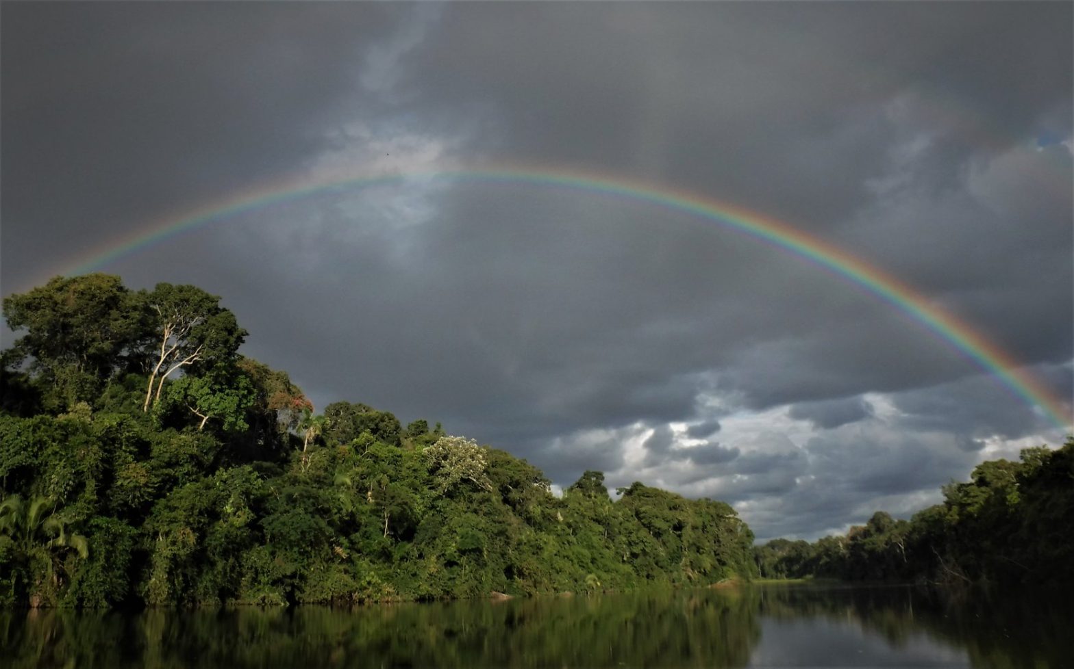The Tour Multi Days  Cusco Trip Amazon  7 dAy