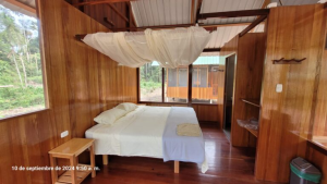 amazon lodge 