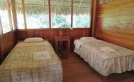 Manu Wildlife Center