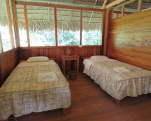 Manu wilderness -Manu explorer