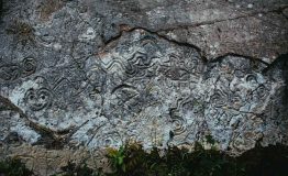 Amazon Explorer - Pusharo Petroglyphs 5 days