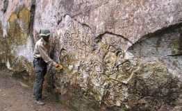 Amazon Explorer - Pusharo Petroglyphs 5 days