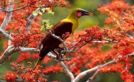 516487242_10162957523628308_4806976673241378553_n