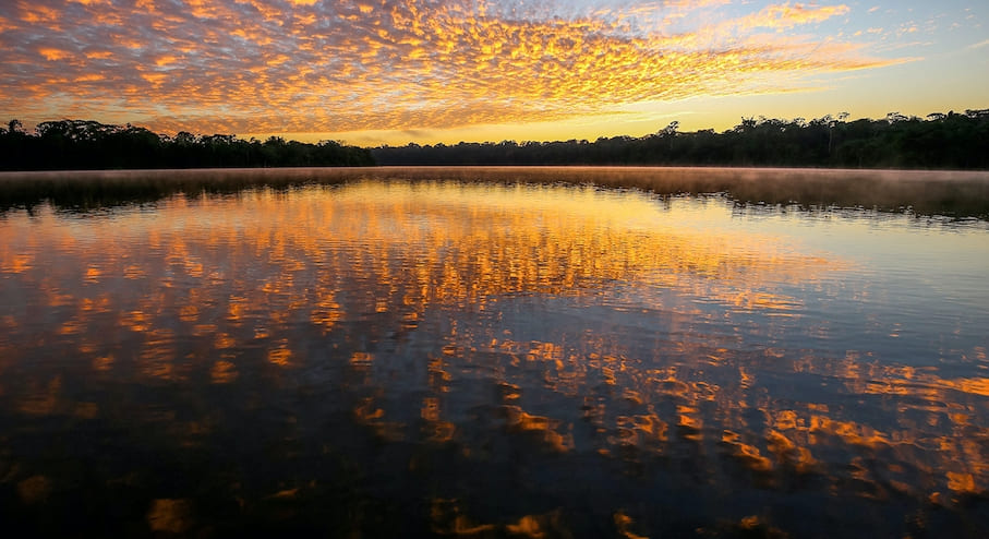 In The Peruvian Amazon