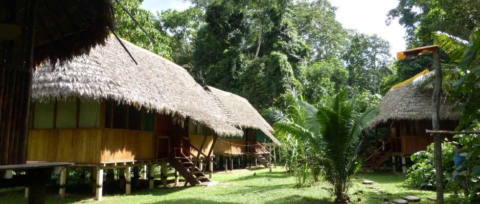 Manu Lodges – Peru Amazon.