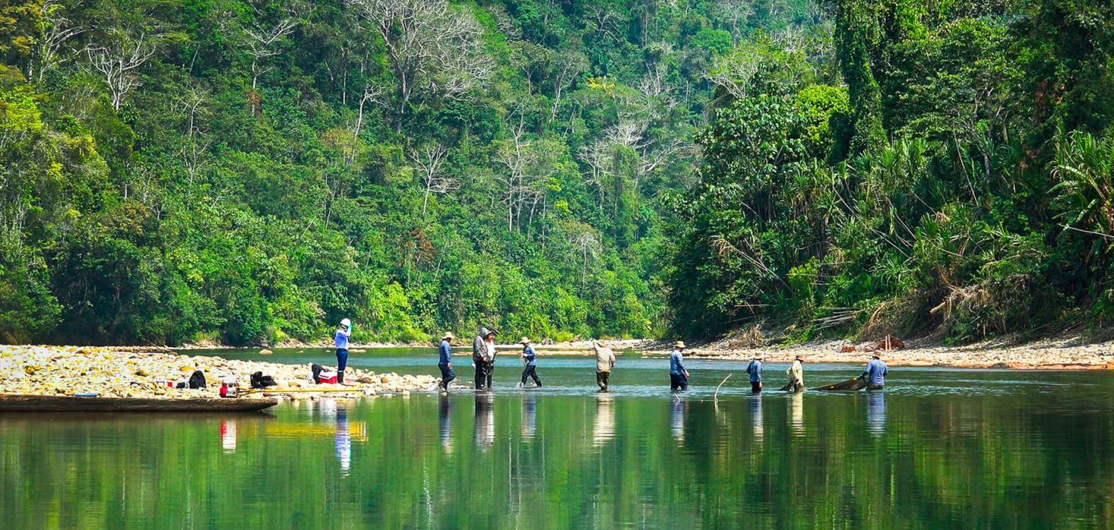 Amazon Rainforest Travel