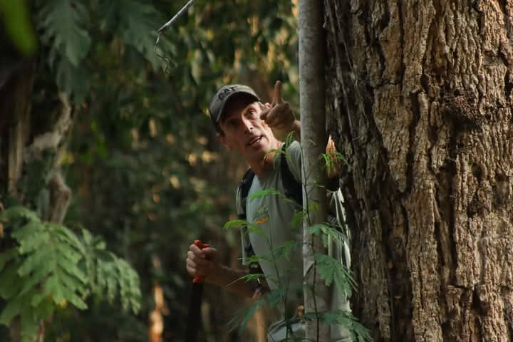 The Medicinal Plants Amazonia Rainforest Peru