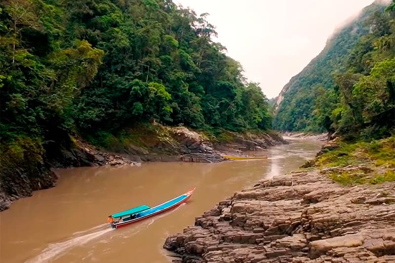 The Pongo Mainique Megantoni National Sanctuary