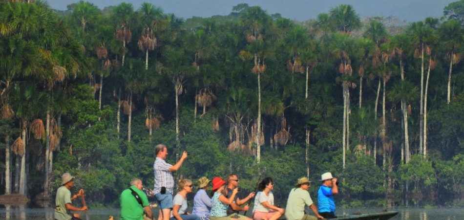 Photography Amazon Manu Tour 4days