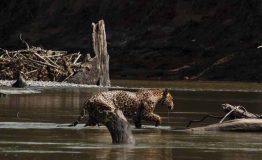 Explorer Blanquillo Photography 5D4N