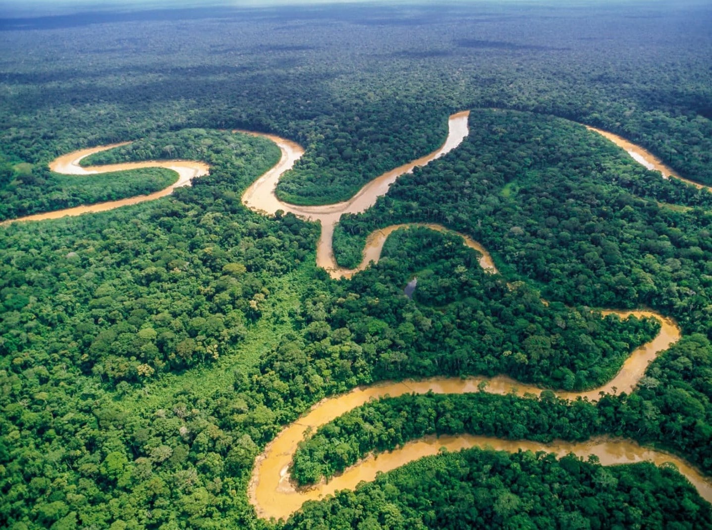 Travel Tour – Puerto Maldonado 8 days
