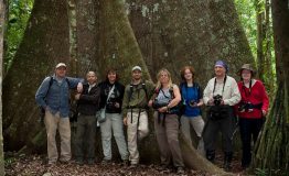 Amazon Travel - Manu Park Divided - Three Zones