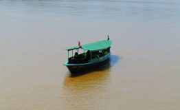 Through Amazon Rainforest Manu National Park (3)