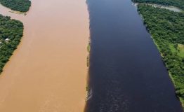 Tour Amazonía Peruana 3 Días desde Iquitos
