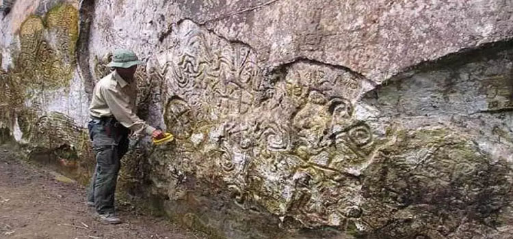 Expediciones Petroglifos Pusharo Manu 6 dias