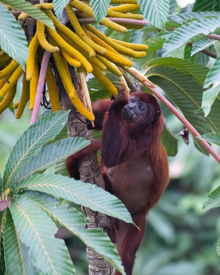 Fotografia Naturaleza Salvaje 9 dias