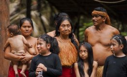 Tour Amazonía Peruana 3 Días desde Iquitos