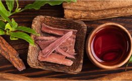 Peruvian Amazon Ayahuasca Experience