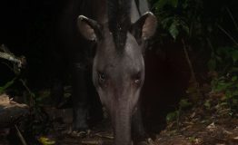 Tours Viajes Amazonia Peru (2)