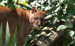 Tours Viajes Amazonia Peru