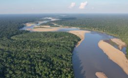 Viajes Peru- Amazon Wildlife- 8 dias.