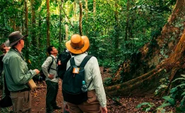 Manu Wildlife Travels Peru 5 dias