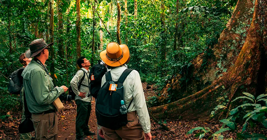 Manu Wildlife Travels Peru 5 dias