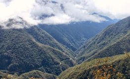 Amazon Wildlife Peru  Tour 5 Dias