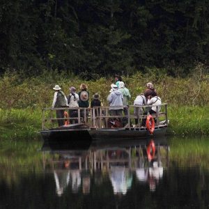 amazon trails