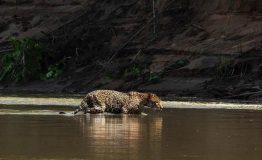 Tour Fotografia Amazonas 5 dias