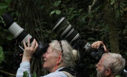 Nuestro guía Parque Nacional Manu