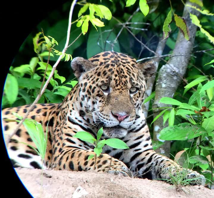 Photography Tour in Peruvian Amazon 8 Days