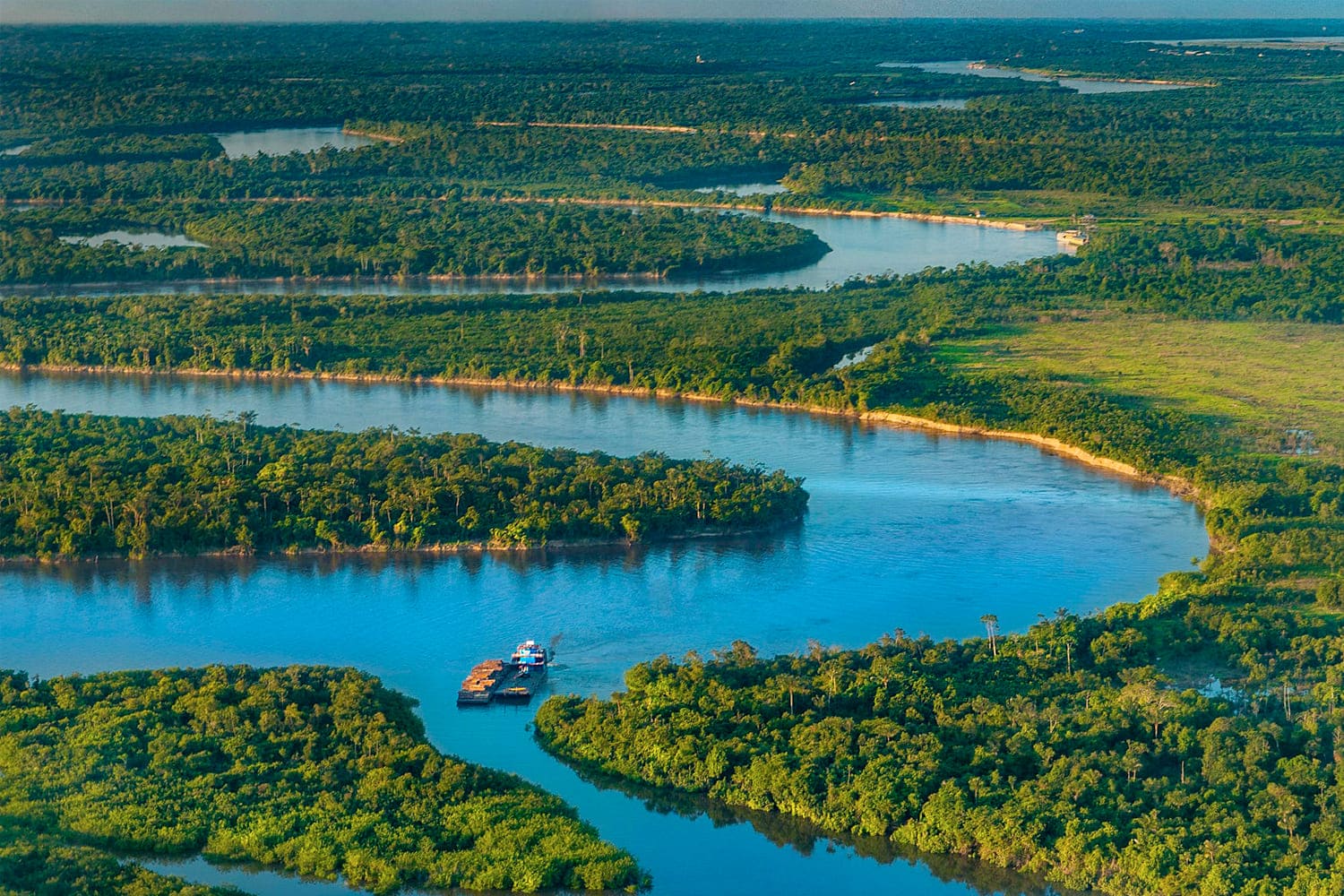 La Reserva Nacional Pacaya Samiria