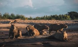 Peru Amazon Tours 3 Dias