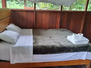 MANU-JUNGLE-TRIPS-PERU