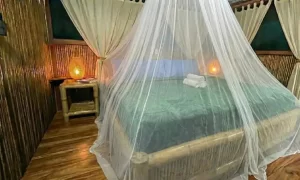 MATRIMONIAL-SUPERIOR-MANU-JUNGLE-TRIPS