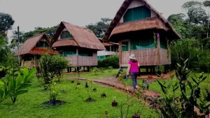  Manu-Cultura-Manu-Jungle-Trip