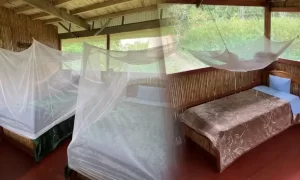  bungalow-triple_manu-jungle-trips