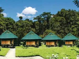  manu-jungle-trips-palotoa.