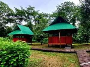  manu-jungle-trips-peru