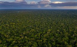 lige entre inmersión cultural o la naturaleza virgen del Amazonas.
