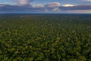 lige entre inmersión cultural o la naturaleza virgen del Amazonas.