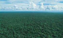 Viajes de Varios Dias a Peru 12 Di