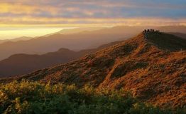 Bosque Nuboso del Manu: Estación Endémica de Kosñipata